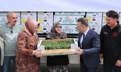Vali Aksoy çiftçilere domates dağıttı