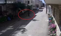 Bursa’da sokak köpekleri 3 çocuğa saldırdı!