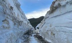 Yüksekova’da kar 5 metreyi buldu