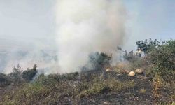 Bursa’da 1,5 hektar otluk alan yandı