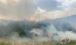 Denizli’de 1 günde 10 orman yangını çıktı