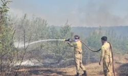 Edirne’de üç köyü etkileyen yangın söndürüldü