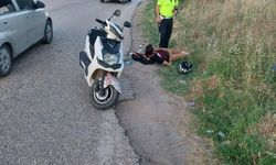 Erdek’te motosiklet kazası: 1 yaralı
