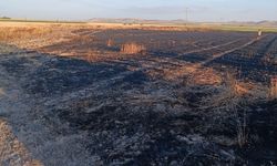 Konya'da buğday ekili tarla yandı