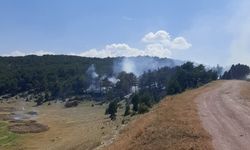 Kütahya’da orman yangını kontrol altına alındı