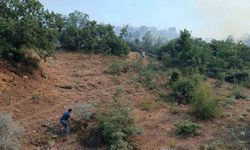 Manisa’daki orman yangını söndürüldü
