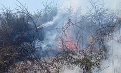 Yalova’da arazi yangını