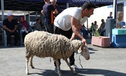 Eskişehir'de ücretsiz kurban kesim hizmeti