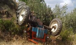 Ağaca çarpan traktörde 2 kişi yaralandı