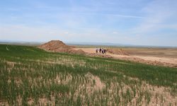 Boş arazide bebek cesedi bulundu!