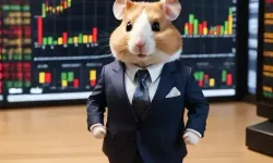 Hamster Kombat 5 Eylül günlük kombo kartları!