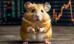 Hamster Kombat: 25 Temmuz Perşembe yeni günlük şifre ve kombo kartları!