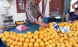 Limon pazarda bakın kaç liraya satılıyor?
