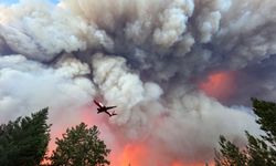 California'nın en büyük orman yangını!