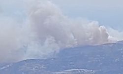 İzmir Dikili’de orman yangını