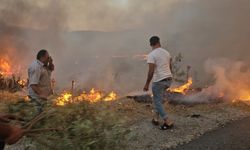 İzmir'in Tire ve Bayındır ilçelerinde orman yangını