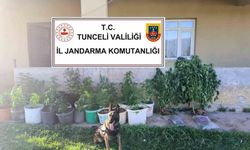 Uyuşturucu operasyonu: 2 tutuklama