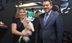 Şiddet gören köpek sahiplendirildi