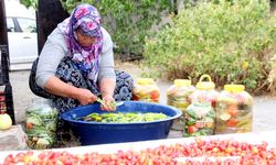 Erzincan’da kadınların turşu mesaisi başladı