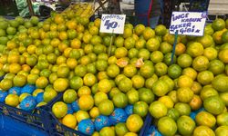 Mandalinalar pazar tezgahlarındaki yerini aldı