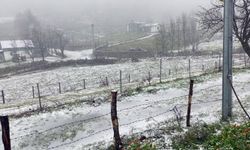 Sakarya'da yüksek kesimlerde kar yağışı başladı