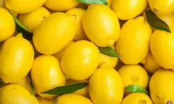 "Yumurta kaynatırken limon eklemek: Faydaları şaşırtıcı!"