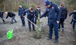 Kahraman itfaiyecilerin anısına hatıra ormanı