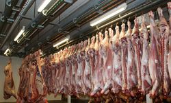 Eskişehir’e 2027’de modern mezbahane geliyor