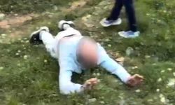Şafak operasyonu: 176 gözaltı