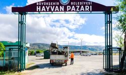 Eskişehir'de kurbanlık satışları burada yapılacak