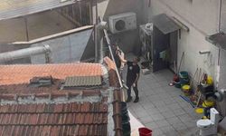 Eskişehir'de yangın paniği: Öğrenciler zorluk yaşadı