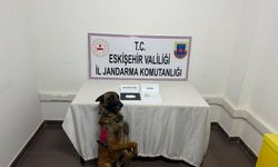 Eskişehir'de zehir taşıyan şahıs yakalandı