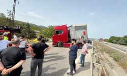 Bir arının yaptığına bakın... Yüzlerce kişiyi mağdur etti!