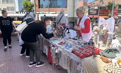 Bin zahmetle yapıyorlar... Ev ekonomisine yardımcı oluyorlar