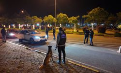 Pars zehir tacirlerine göz açtırmıyor!