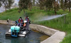 Sivrisinekle mücadelede önlemler arttı
