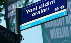 Bu trafik levhalarında sözler büyük ilgi görüyor