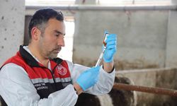 Eskişehir’de bu kampanya yüzde 100 başarıyla tamamlandı