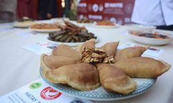 Hatay’da damak çatlatan 10 lezzet tescillendi