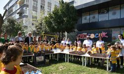 Sebze ve meyve tohumları toprakla buluştu