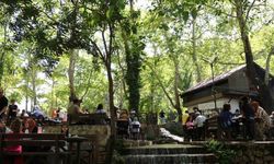 Sıcaktan kaçanlar, tabiat parkında serinledi