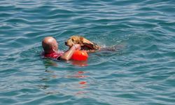 Türkiye’nin ilk sivil sualtı kurtarma köpeği Zeyna, görev için gün sayıyor