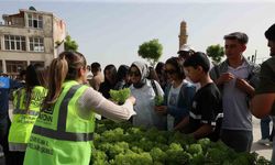 Vatandaşlara 60 bin fesleğen dağıtıldı