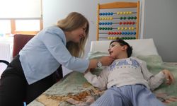 Sivrisinek ısırığı hayatını karartı!