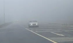 Bu yolda göz gözü görmüyor!