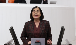 Milletvekili Süllü'den sert tepki... Halk sağlığı önemsenmiyor!