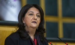 DEM Parti İmralı’ya gidiyor