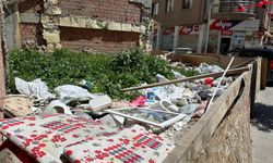 Çöp yuvası oldu!