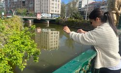Eskişehir'in simgesi "Porsuk" Dilek Çayı'na döndü...