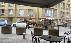 Eskişehir'in en işlek noktasında ilginç olay... Görenleri şaşırttı